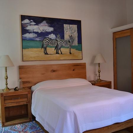 Hotel Casa Catalina San Luis Potosí Buitenkant foto