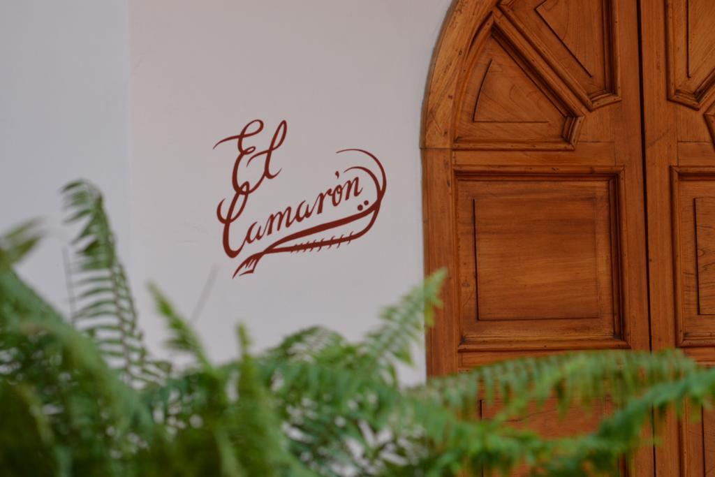 Hotel Casa Catalina San Luis Potosí Buitenkant foto